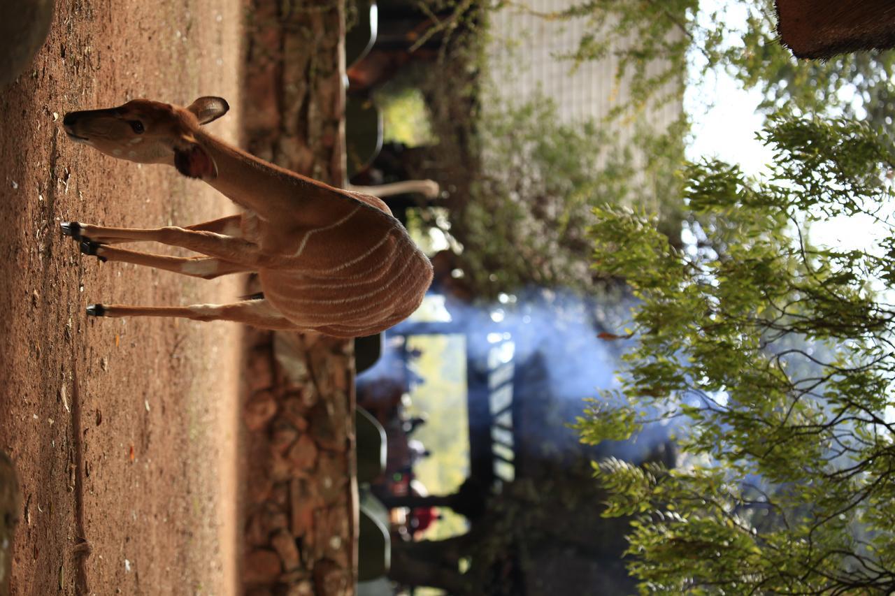 Vila Mlilwane Game Sanctuary Lobamba Exteriér fotografie