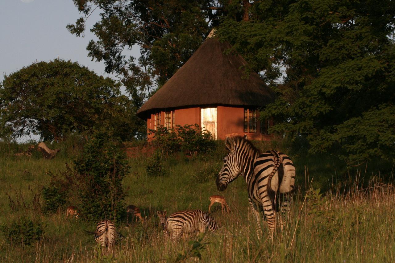 Vila Mlilwane Game Sanctuary Lobamba Exteriér fotografie